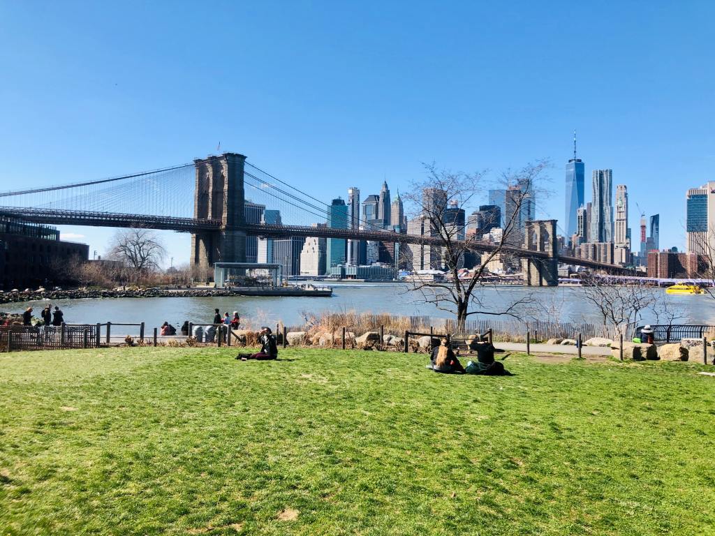 New York City Parks could be the newest concert, theater and arts venues as the city battles covid-19. 